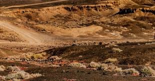 百家乐新手为什么不能硬扛（为何百家乐新手不宜硬扛）